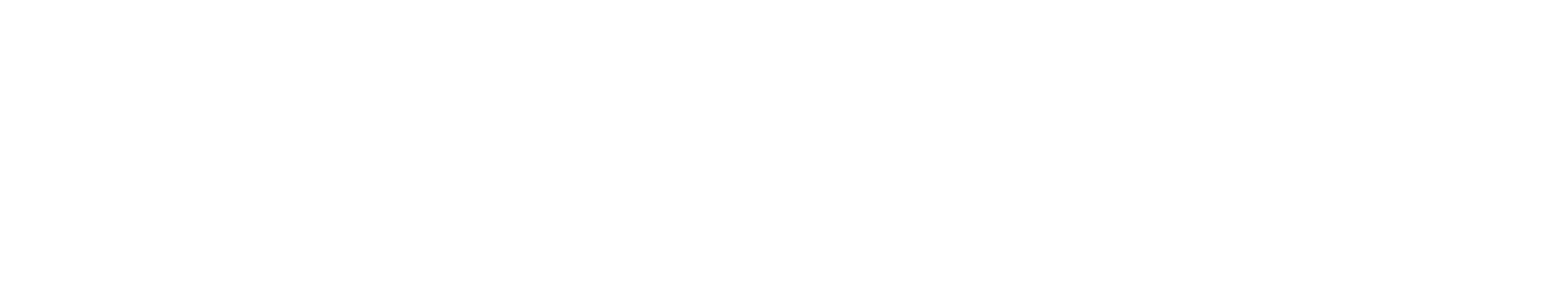 护卡小象